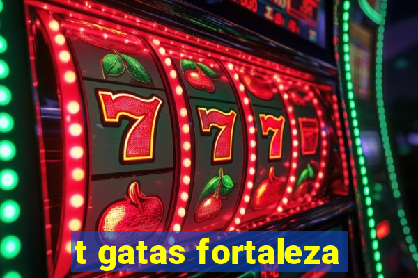 t gatas fortaleza